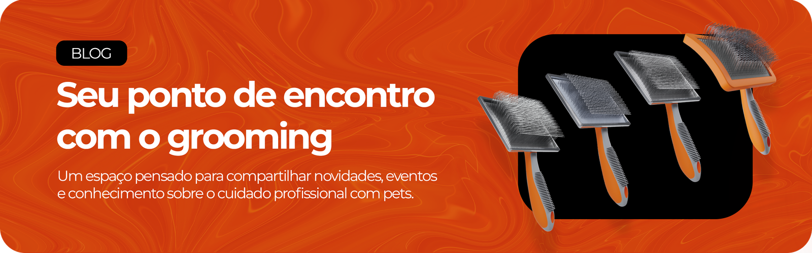 banner-blog-desktop-lanca-bicho