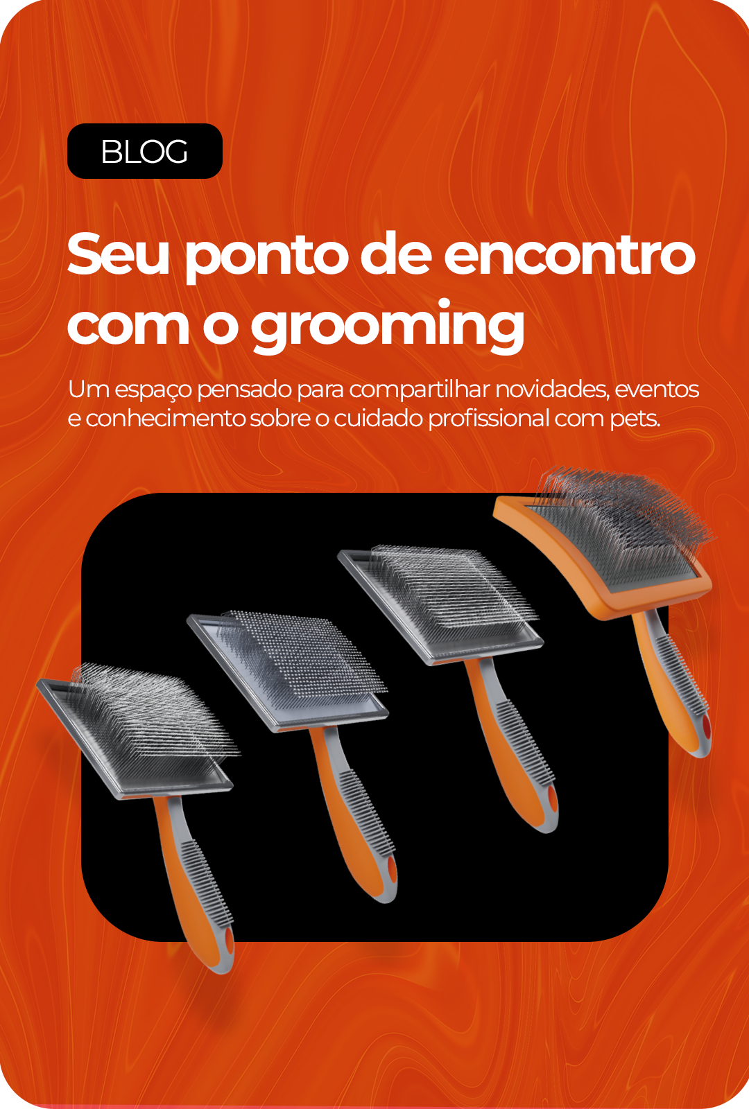 banner-blog-mobile-lanca-bicho