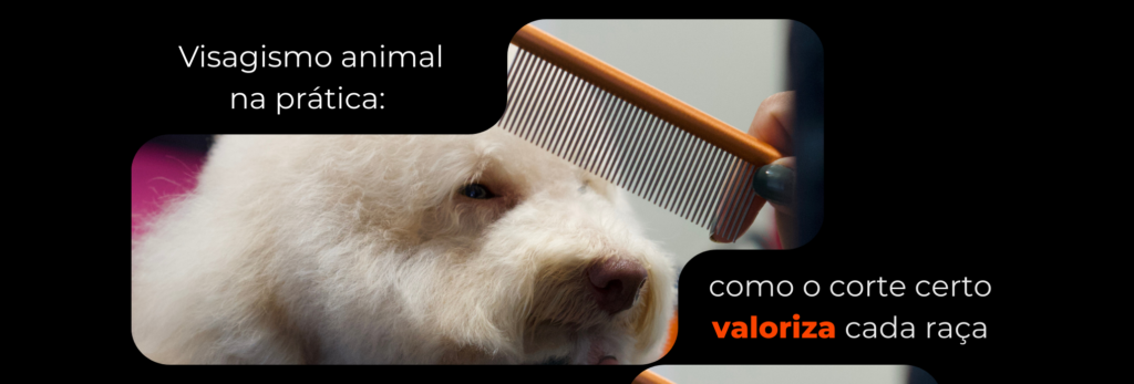 Visagismo animal na prática