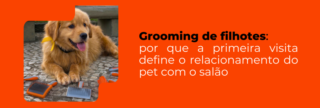 grooming-de-filhotes