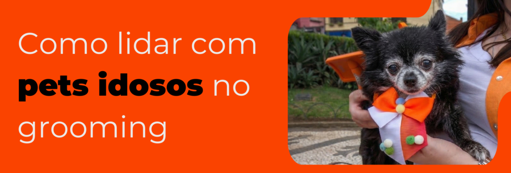 pets-idosos-no-grooming